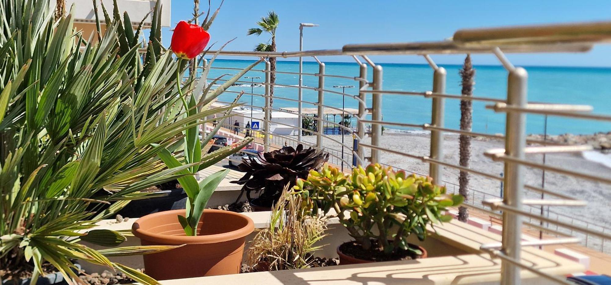 Appartamento Mare Blu Ventimiglia Esterno foto